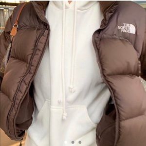 NWT Brown Purple Label North Face Puffer